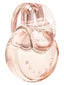 Omnia Crystalline Eau De Parfum
