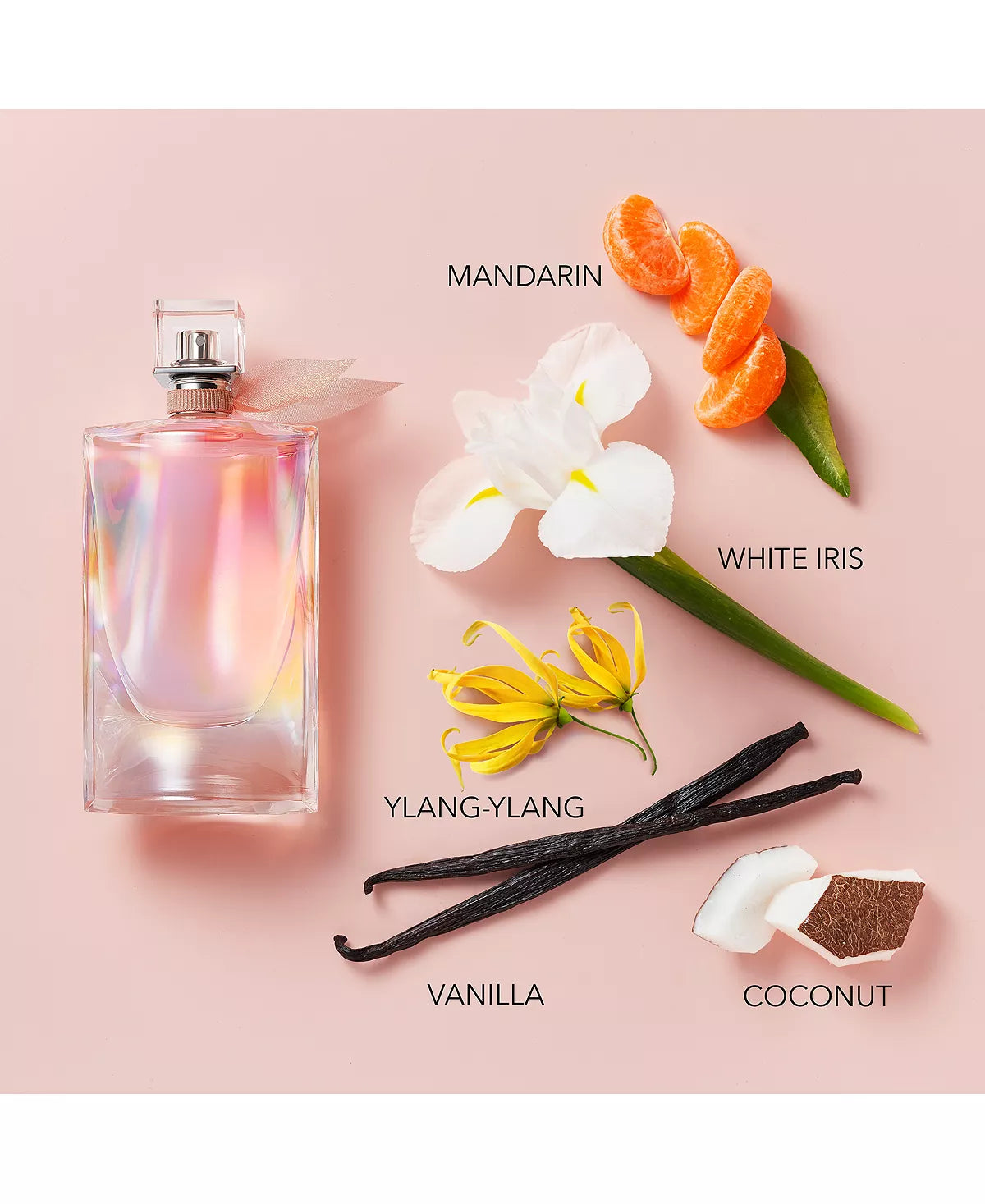 La vie est belle Eau De Parfum - Perfume City La vie est belle Eau De Parfum - Perfume City