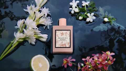 Gucci Bloom Perfume By Gucci