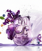 Omnia Amethyste Eau De Toilette