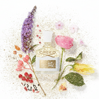 Creed Aventus for Her