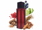 Sentiment For Men Eau de Toilette
