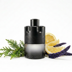 The Most Wanted Eau de Toilette Intense