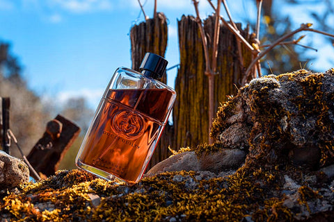 Gucci Guilty Absolute EDP